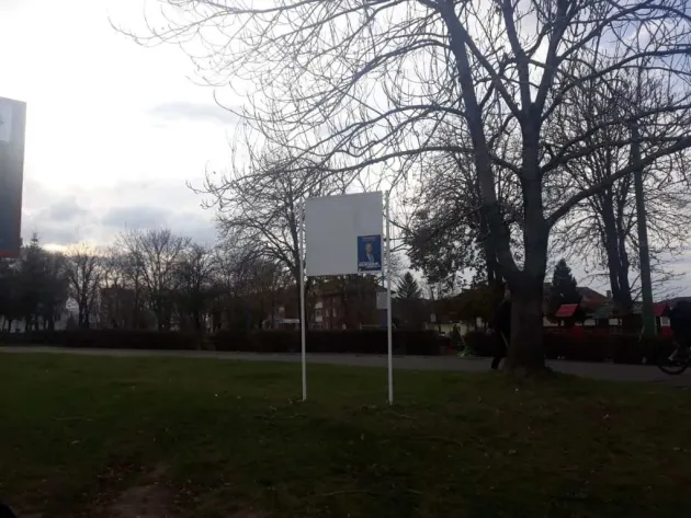 Criză de afişe ale Vioricăi Dăncilă la Braşov. „Poate le-au furat cei de la USR”