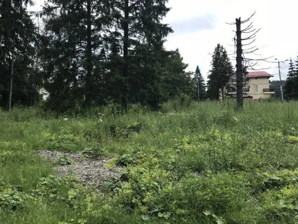 Un teren din Predeal pe care doi irlandezi voiau să investească 40 de milioane de euro se vinde cu 500.000 de euro