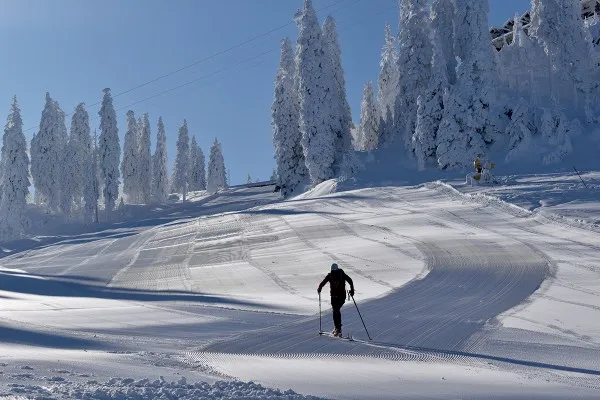 FOTO. Pârtiile de schi din Poiana Brașov vor fi deschise în 31 decembrie. Pentru a evita ambuteiajele, a fost reactivată linia 60 