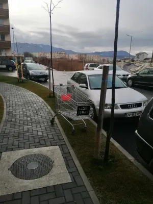 „Febra sărbătorilor”