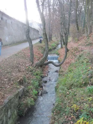 Primele demersuri birocratice pentru canalizarea gospodăriilor din Șchei care „trag apa” în „Spurcata”