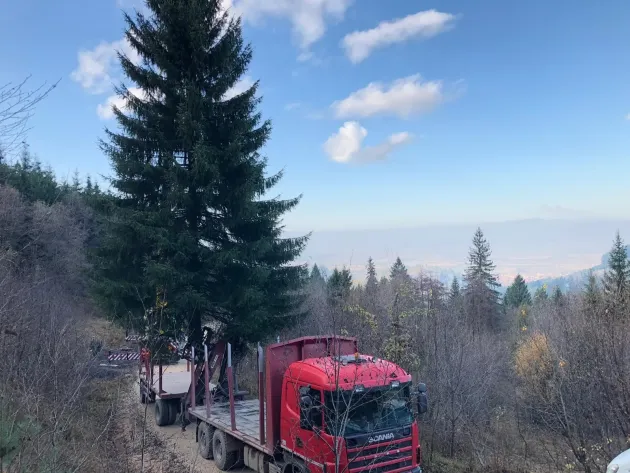 La Săcele se aprind astăzi luminile de sărbători. 132.000 lei, bugetul din acest an pentru împodobirea oraşului
