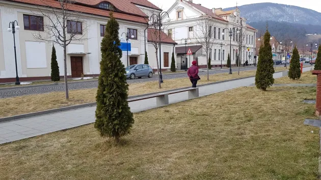 Primăria Codlea caută o firmă care să se ocupe de spaţiile verzi în următorii 4 ani  