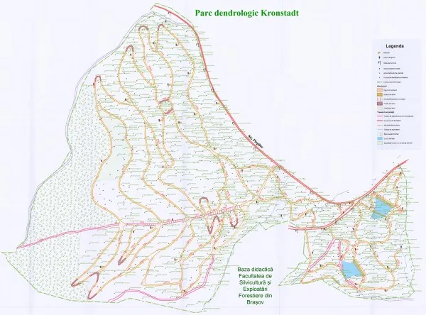 Braşovenii, invitaţi să participe la plantările din Parcul Dendrologic Kronstadt