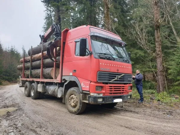 Se fură cu camionul din zona Timiş. Al doilea transport ilegal de lemne în nici o săptămână, oprit de jandarmi, în pădure