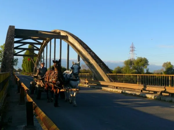 A treia licitaţie pentru construirea podului de la Voila, anulată 