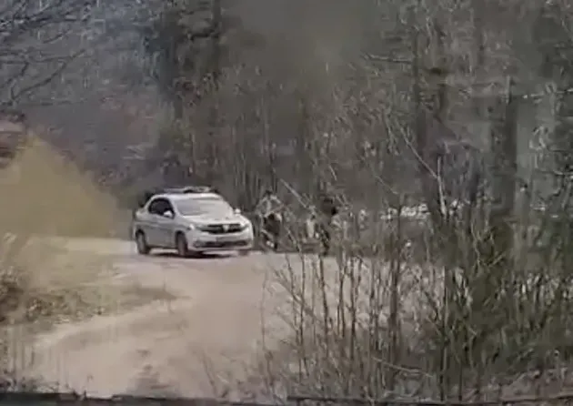 Două doamne aveau o „urgenţă” la urzici, în Noua