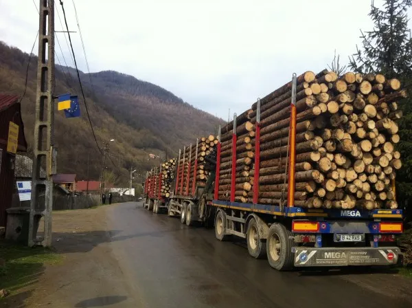 „Să nu vă apuce groaza, veţi vedea pe drum 46.000 de camioane cu buşteni”