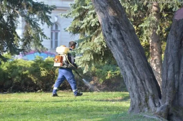Luni încep tratamentele pentru combaterea căpuşelor, în Braşov
