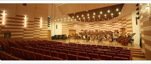 Azi, la 19.00: Un nou concert virtual al Filarmonicii 