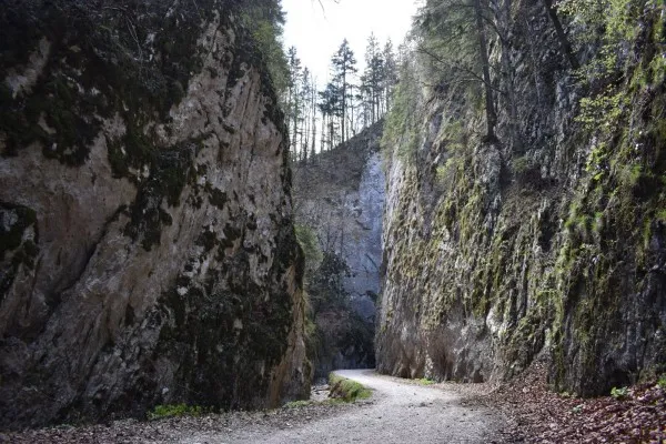 Încă 315 hectare din Parcul Naţional Piatra Craiului, incluse în zona strictă de protecţie