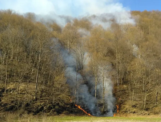 63 de oameni la un incendiu în Poiana Mărului
