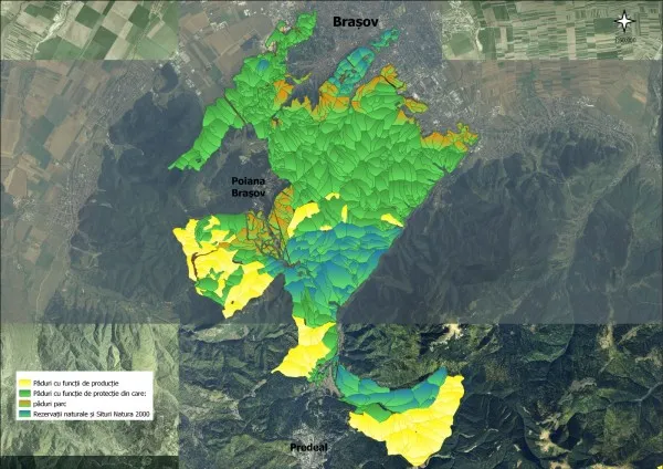 Aproape 80% din Pădurile Braşovului sunt în zone de protecţie