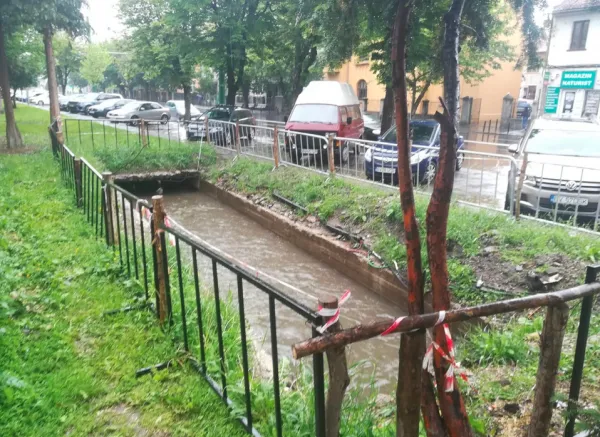Pârâul de pe Castanilor, proiect băgat „la sertar”. 169 de vecini au semnat că nu-l vor