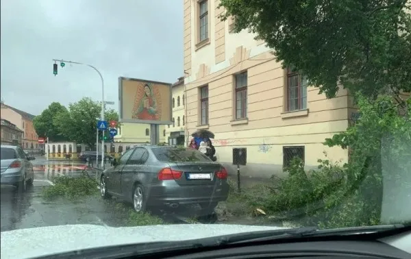 S-a trezit în mers, cu copacul pe maşină