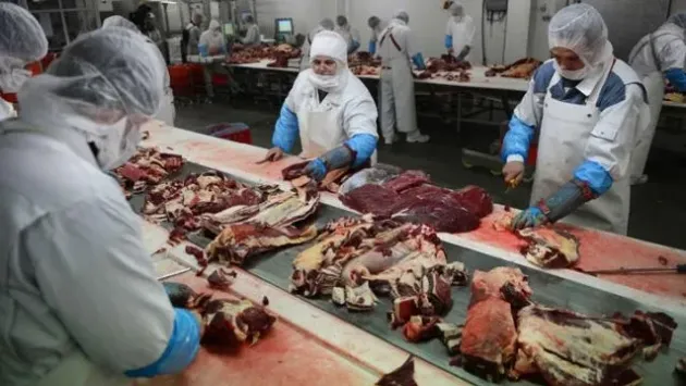 Cât câştigă un român care munceşte într-un abator din România