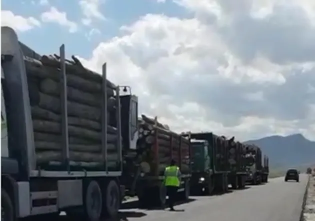 Camioanele suspecte de pe DN73. Buştenii erau „legali”, dar cei 3 şoferi au rămas fără TIR-uri 