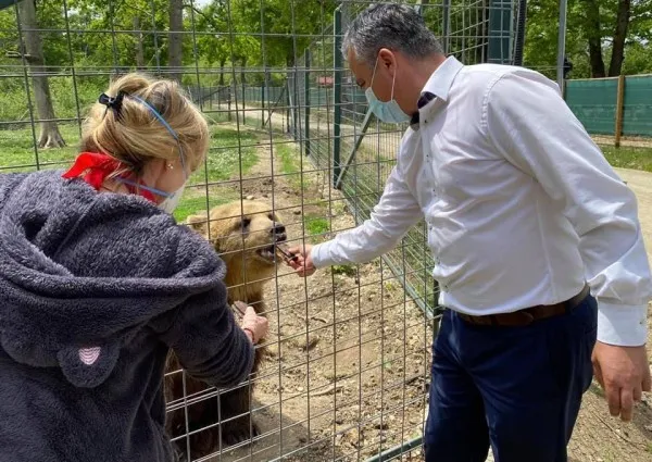 „Îmblânzitorii” de urşi