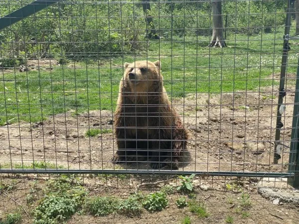 Se redeschide sanctuarul Libearty