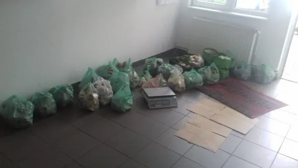 Acţiunea „ciuperca” în Piaţa Dacia: 2 zile, 90 de kg 
