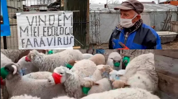 Neamţ, Botoşani, Iaşi, Braşov....