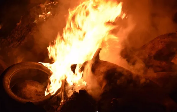 Criminaliștii de la Poliția Brașov au verificat locul în care au fost arși porcii de la Codlea. Nu au mai fost așteptate incineratoarele mobile, pentru că focarul evolua exponențial