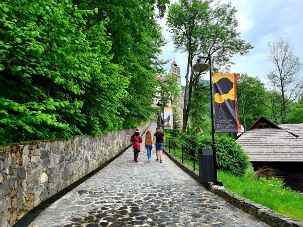 Veniturile „lui Dracula” au scăzut cu 70%. Coronavirusul a alungat turiştii din Castelul Bran