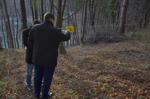 Braşovenii a căror gospodării le sunt „călcate” de urşi şi lupi vor putea cumpăra garduri electrice cu bani de la Ministerul Mediului