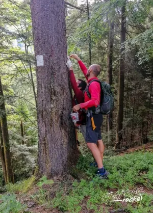 Voluntari şi salvamontişti au refăcut două trasee din estul munţilor Făgăraş