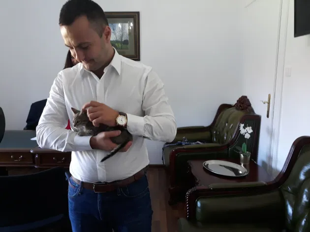 2,57 lei/minutul, 314 lei/ora