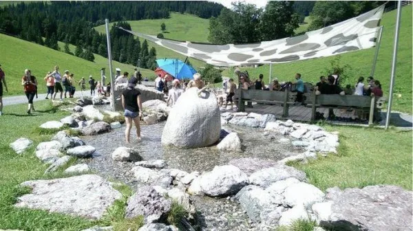Cum va arăta „Poiana all-season”