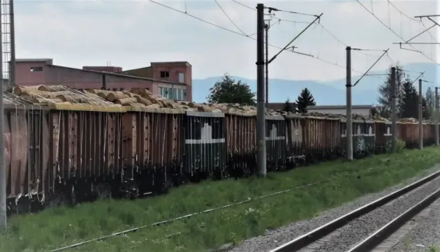 Trenul din Cehia, oprit la Covasna: 39 de vagoane cu buşteni fără acte