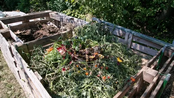 Consiliul Judeţean va afla ce cantitate de biodeşeuri poate produce Braşovul