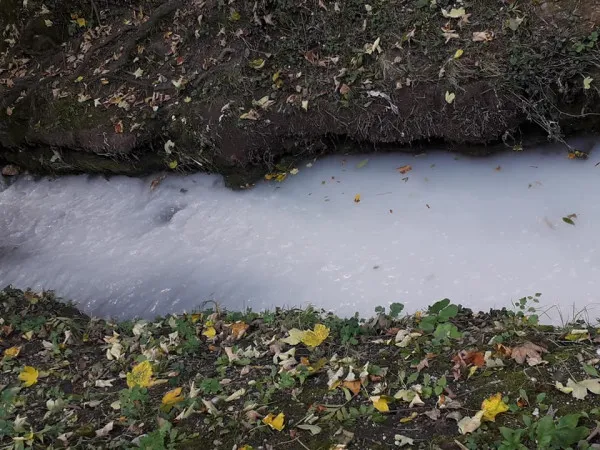 Spurcata Braşovului e de-un... alb imaculat