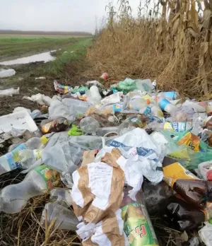 Să-l ajutăm pe Vasile  să-şi găsească… gunoiul