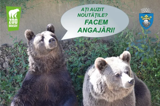 Angajări la Zoo Braşov