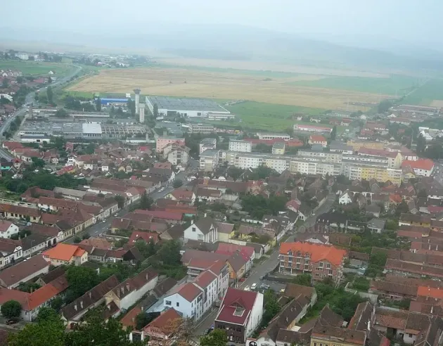 Bandă de 7 hoţi din Râşnov, două atacuri în „lock-down”