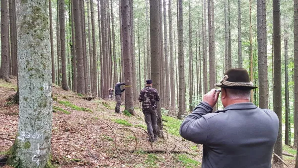 Starea de sănătate a pădurilor Braşovului, în suprafaţă de 14.616 hectare, administrate de Regia Publică Locală a Pădurilor Kronstadt RA, este monitorizată până la cele mai mici detalii