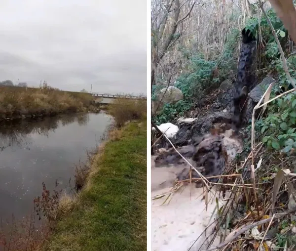 Peşti morţi într-o apă neagră ca tăciunele: Avicod Codlea, prinsă că folosea pârâul din Dumbrăviţa drept propria-i canalizare. 40.000 de lei amendă