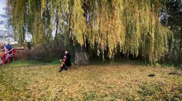 Poftiţi de faceţi turul arborilor remarcabili din Braşov!