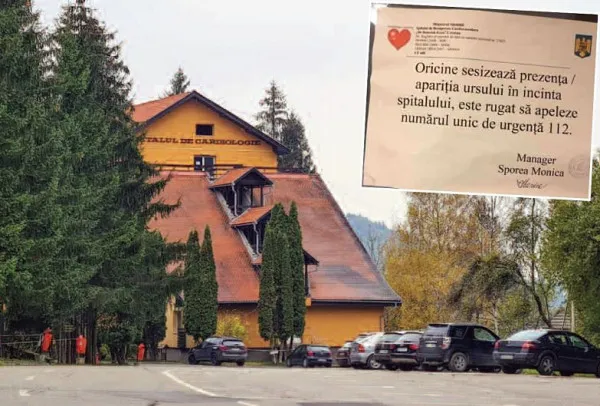 Viralul zilei, poza de pe uşa spitalului Covid: Dacă vedeţi ursul, sunaţi-ne