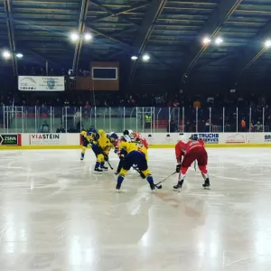 „Lupii” mai joacă 11 meciuri în Erste Liga până la finalul anului