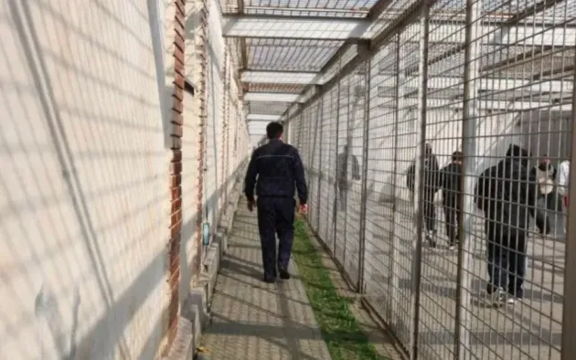 3 ani la Codlea pentru o infracţiune rutieră