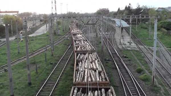 Un tren cu 38 de vagoane încărcate cu lemne, marfă din Cehia, confiscat la Moacşa