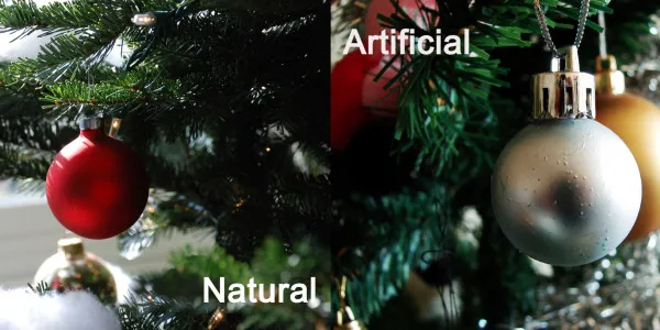 Brad natural sau din plastic? Care e alegerea cu adevărat eco?