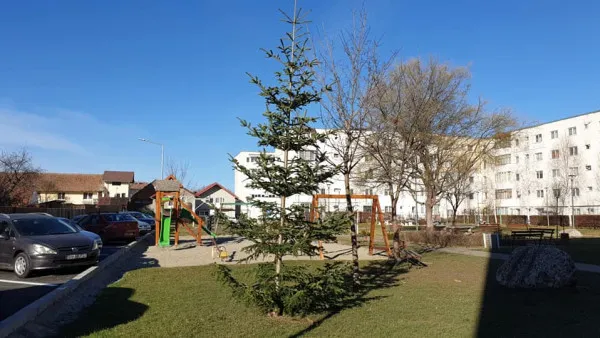 Râşnovul premiază cel mai frumos brad de Crăciun din cartier