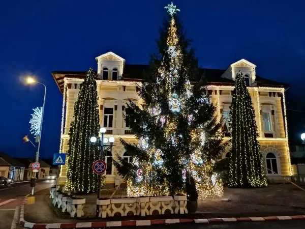 Săcelenii din cartiere au şi anul acesta brazi de Crăciun