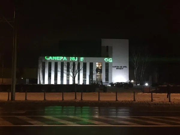 „Cânepa nu este drog”. A stat scris pe Curtea de Apel Braşov