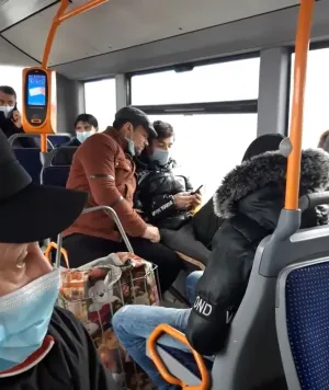 „Melomanii” blatişti de pe linia 310