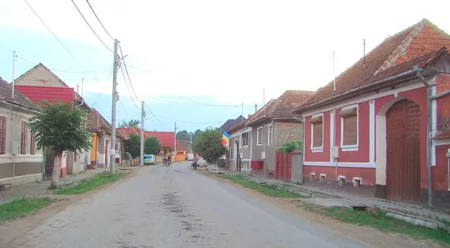 Crihalma: Prinși cu stejarii fără acte